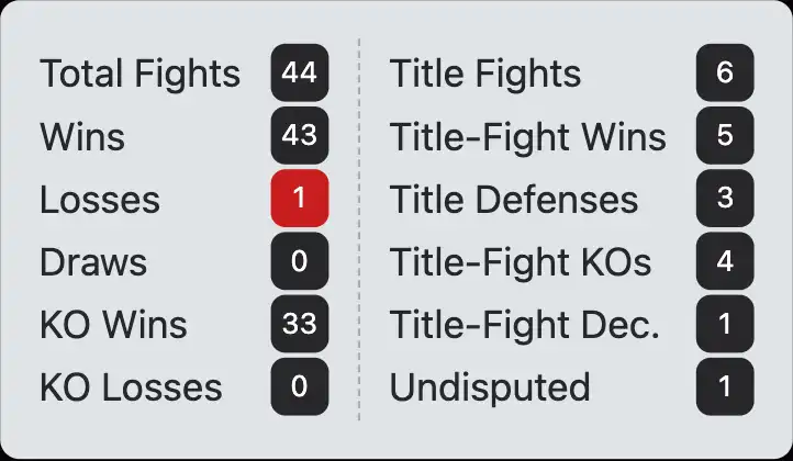 Riddick Bowe boxing record